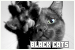 Cats: Black