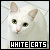  White Cats