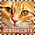  Orange Cats