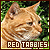  Cats: Red Tabby
