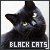  Black Cats